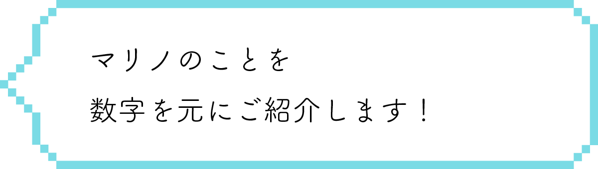マリノのことを数字を元にご紹介します！